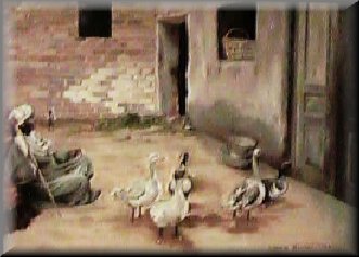 Geese